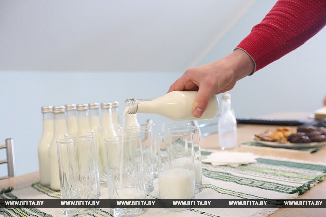 На конеферме в Логойском районе получают кобылье молоко