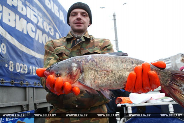 Рыбные ярмарки пройдут в ноябре-декабре в Минске
