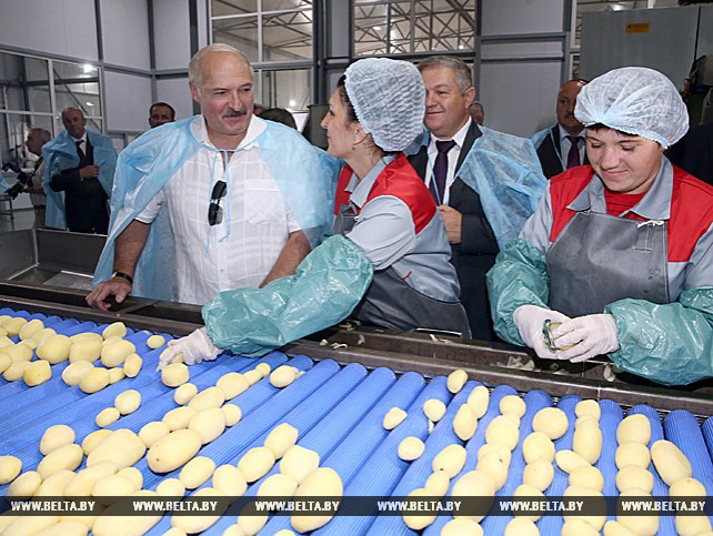 Лукашенко ознакомился с развитием в Беларуси фермерских хозяйств