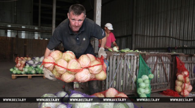 Служба занятости помогает сельхозпредприятиям Могилевской области в уборке урожая