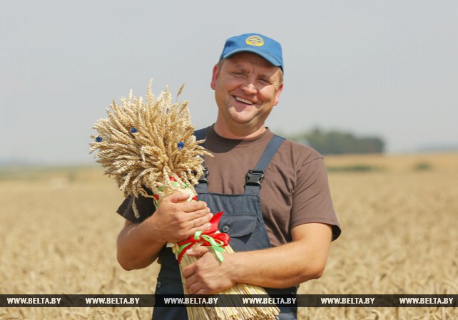 Миллионную тонну зерна собрали в Минской области