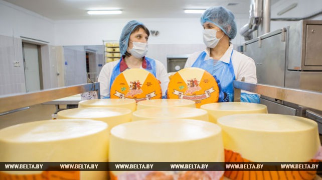 Пружанский молочный комбинат производит 8 тыс. т сыра в год