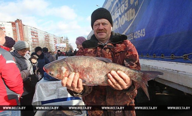 Специализированная ярмарка "Рыба Беларуси" развернулась в Минске