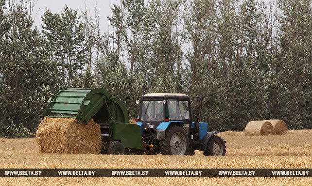 Уборка зерновых идет в Несвижском районе