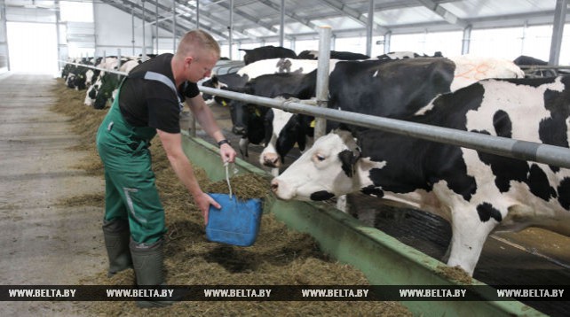 Новая молочно-товарная ферма введена в эксплуатацию в Городокском районе
