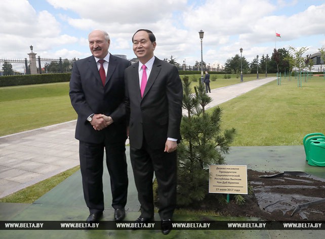 Чан Дай Куанг посадил дерево на Аллее почетных гостей у Дворца Независимости