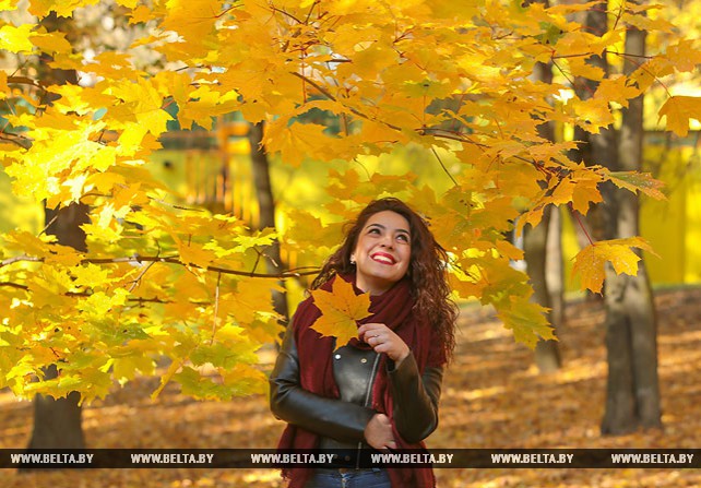 Осень в Минске