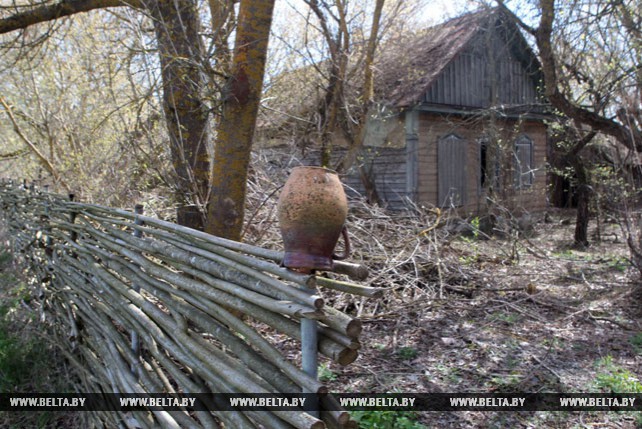 92 покинутые деревни находятся на территории Полесского радиационно-экологического заповедника