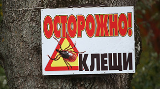 Сезон активности клещей: профилактика и лечение клещевых инфекций Сезон активности клещей: профилактика и лечение клещевых инфекций