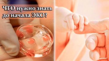 Определяют пол эмбриона на 5-й день! // Правда про ЭКО, рассрочка на зачатие и материнство в 49 лет
