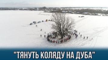 Уникальный белорусский обряд "Тянуть Коляду на дуба" в деревне Новины