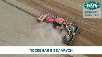 К раннему севу зерновых приступили в регионах Беларуси