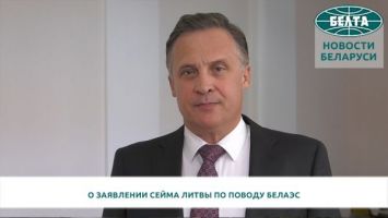 Савиных прокомментировал заявление Сейма Литвы по поводу БелАЭС