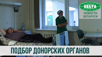 Как осуществляется подбор донорских органов в Беларуси