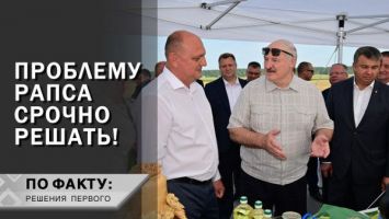 Лукашенко: Поверьте, это революция будет на селе! // Рапсовое масло – спасение?