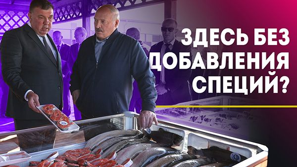Лукашенко оценил белорусскую форель! / Зачем рыбу кормят 14 РАЗ в день? / Как готовят деликатесы?