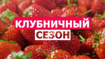 Ягодный праздник! Во Дворце проходит фестиваль "Лунінецкія клубніцы"
