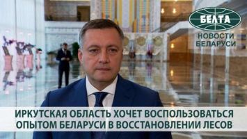 Иркутская область хочет воспользоваться опытом Беларуси в восстановлении лесов