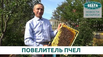 40 лет в окружении пчел
