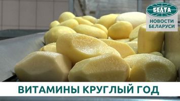 Витамины круглый год: как хранят овощи и фрукты в агрокомбинате "Ждановичи"