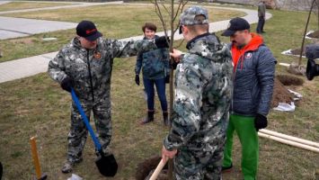 Лукашенко в день субботника высаживал деревья на своей малой родине в Александрии