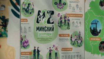 Весна вступила в свои права. В Минском зоопарке активничают бурые медведи Тристан и Нюра