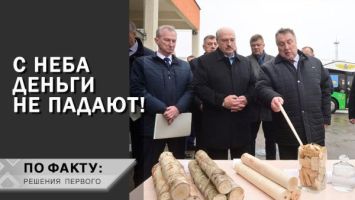 Лукашенко: Надо работать, надо зарабатывать! // Про бумажные фабрики и экспорт белорусского дерева