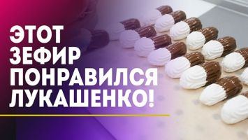 "Всё, что у вас вкусное, мне НЕЛЬЗЯ!" / Не устоял даже Лукашенко! / ЗЕФИР: что в составе ПП-десерта?