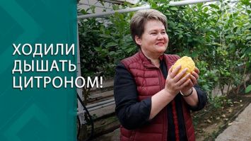 Чувствуете, как она любит свою землю? // Белоруска руководит хозяйством, где растут лимоны!