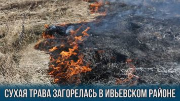 Сухая трава загорелась в Ивьевском районе