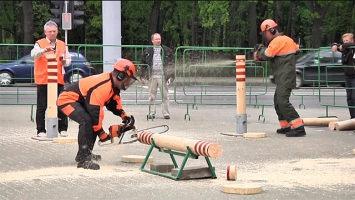 Конкурс профессионального мастерства вальщиков леса прошел в Минске