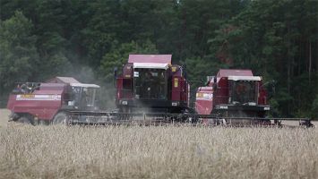 В Гродненской области завершается уборка зерновых