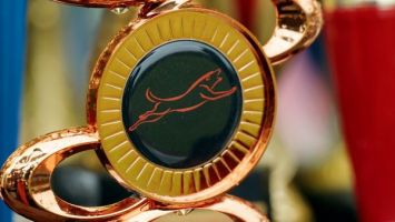 След, послушание и защита. В Минском районе прошел масштабный кинологический праздник RED DOG - 2025