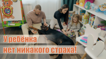Собака стала лучшим другом девочки! // История белорусов, которая покорила соцсети!