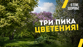 "Это нельзя!" // Врач про пищевую аллергию, злую березу и НЕсуществующих гипоаллергенных животных