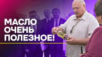 Лучшая реклама от Лукашенко: дегустация масла В ПОЛЕ! // Польза рапса, о которой вы не знали!