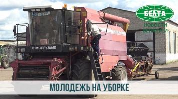 Как молодежь Минской области помогает убирать урожай