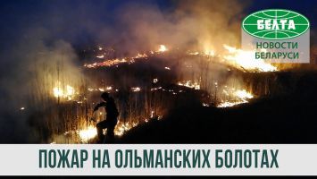 В Столинском районе третьи сутки тушат пожар на Ольманских болотах