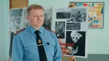 Что делать, если вы попали в ДТП с диким животным?