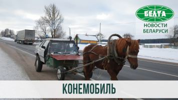 Кулибин из Шкловского района создал "конемобиль"