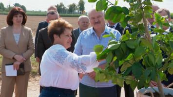 Президенту Беларуси подарили лимонное деревце