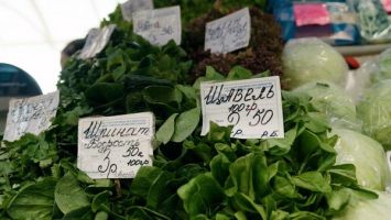 Клубника по 9.90! Проверили цены на Комаровке