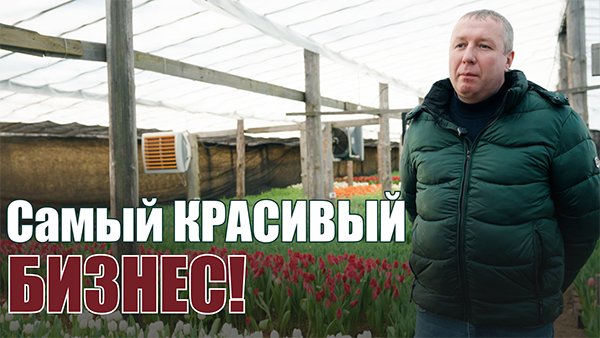 Какие тюльпаны дольше простоят? // Белорус про сезонный бизнес, умную теплицу и лучшие сорта