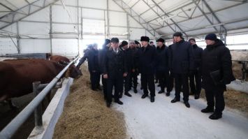   Лукашенко: И почему ОН не знает? // Про коров, Wildberries, Ливию и военных! // Неделя Президента   