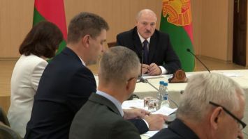 Лукашенко поручил взять в одни руки реализацию на экспорт топливных пеллет