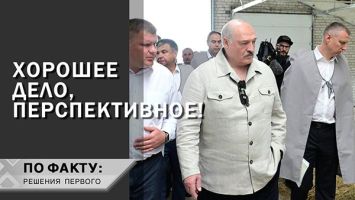 Лукашенко: У тебя можно козла обменять? // Бык по цене иномарки и угощение Путина | ПО ФАКТУ