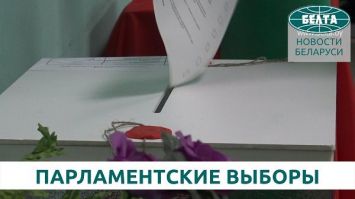 Мнения международных наблюдателей о парламентских выборах