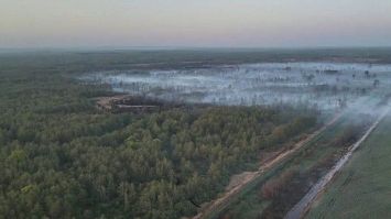 Более 6 тыс. пожаров с начала года произошло в природных экосистемах