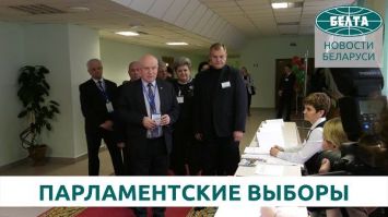 Лебедев: у миссии СНГ положительное впечатление о ходе досрочного голосования в Беларуси