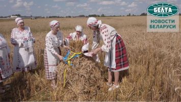 Традиции обряда "Зажинки" в Могилевском районе